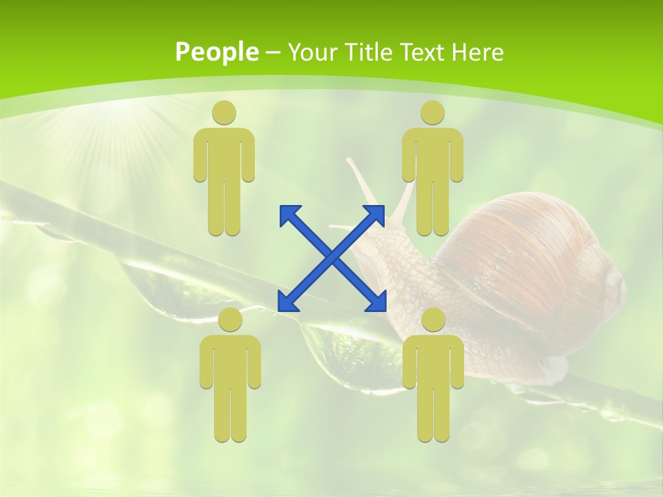 Garden Slow Freshness PowerPoint Template