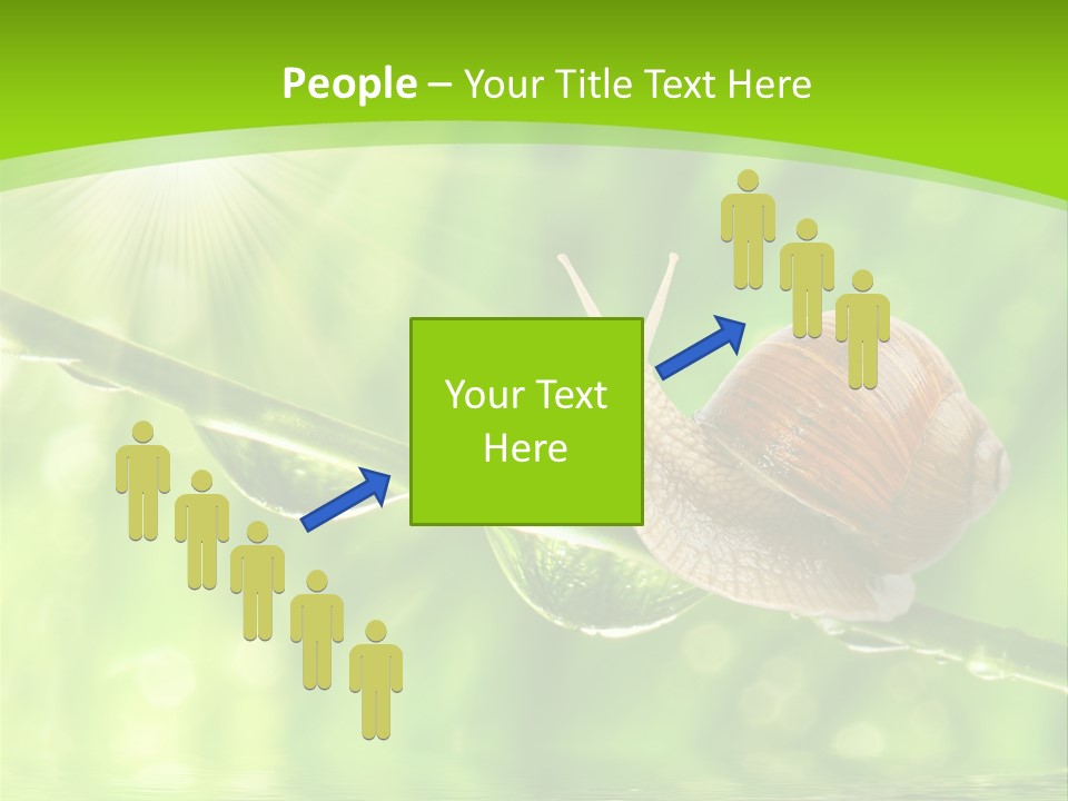 Garden Slow Freshness PowerPoint Template