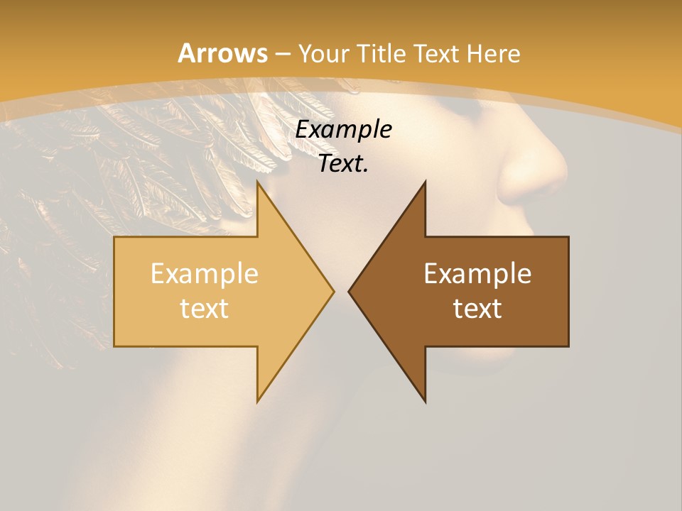 Attractive Classic Feather PowerPoint Template