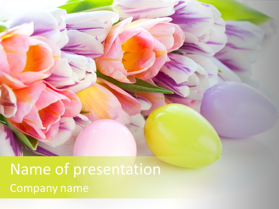 Violet Pink Fresh PowerPoint Template