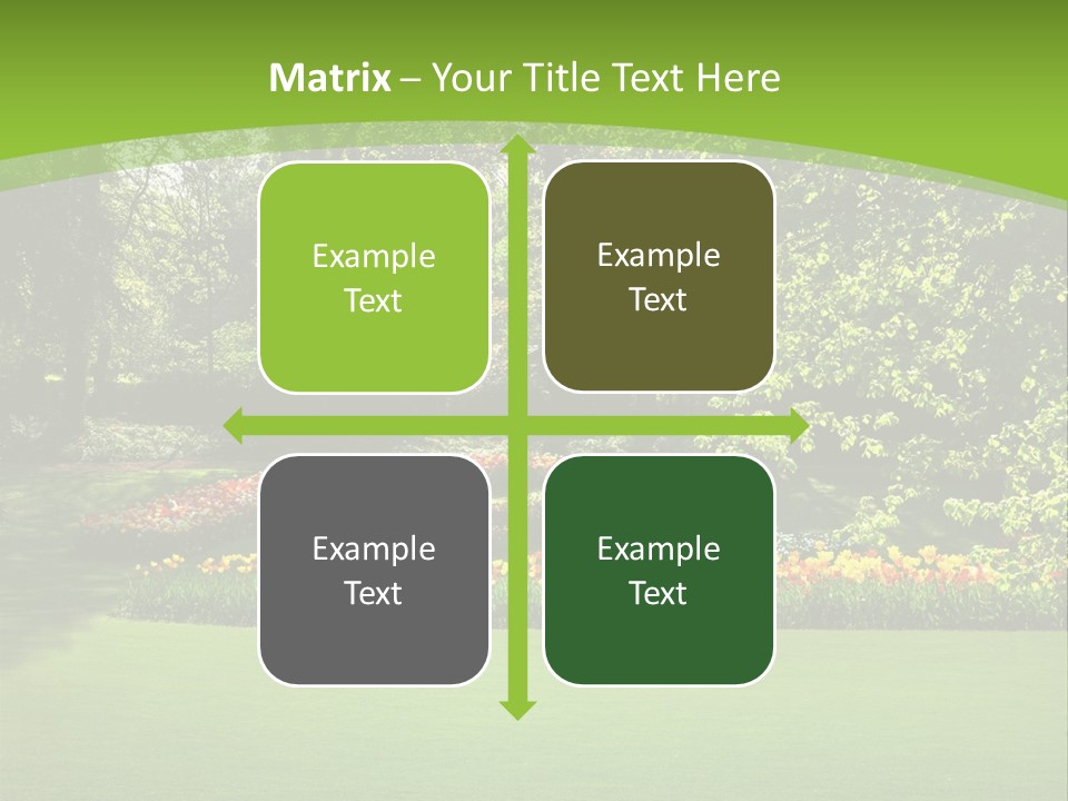 Woman Model Young PowerPoint Template