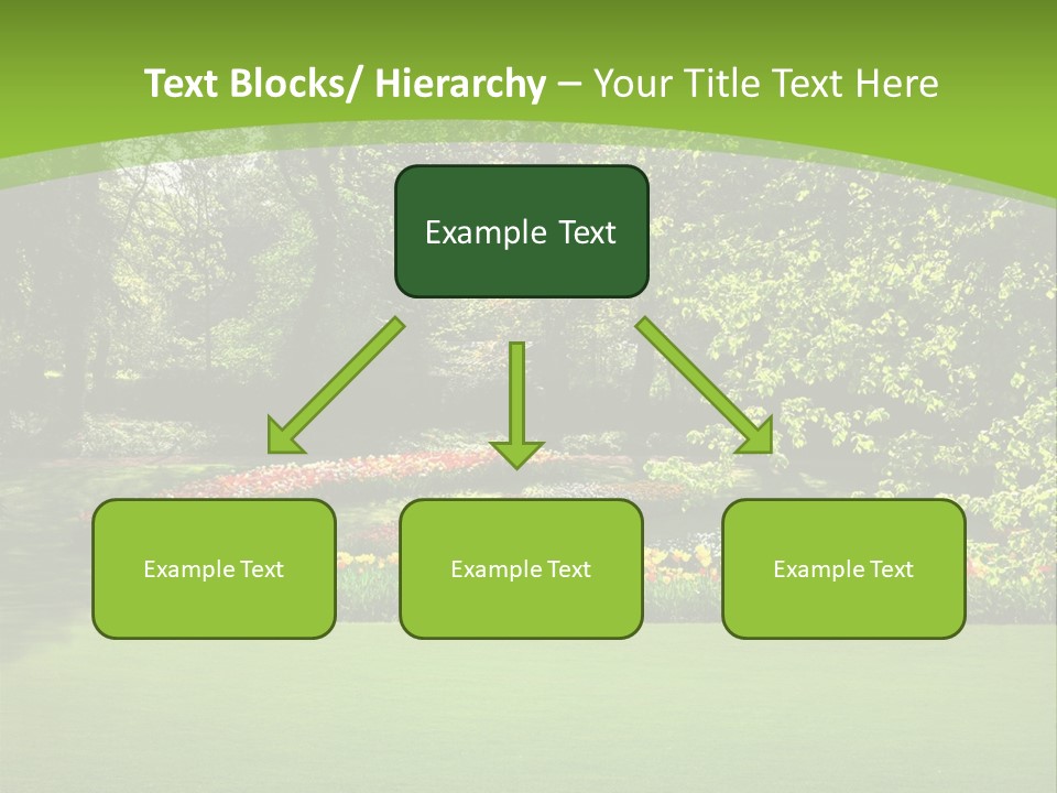 Woman Model Young PowerPoint Template