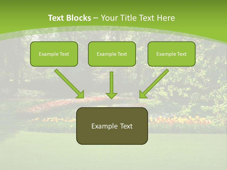 Woman Model Young PowerPoint Template