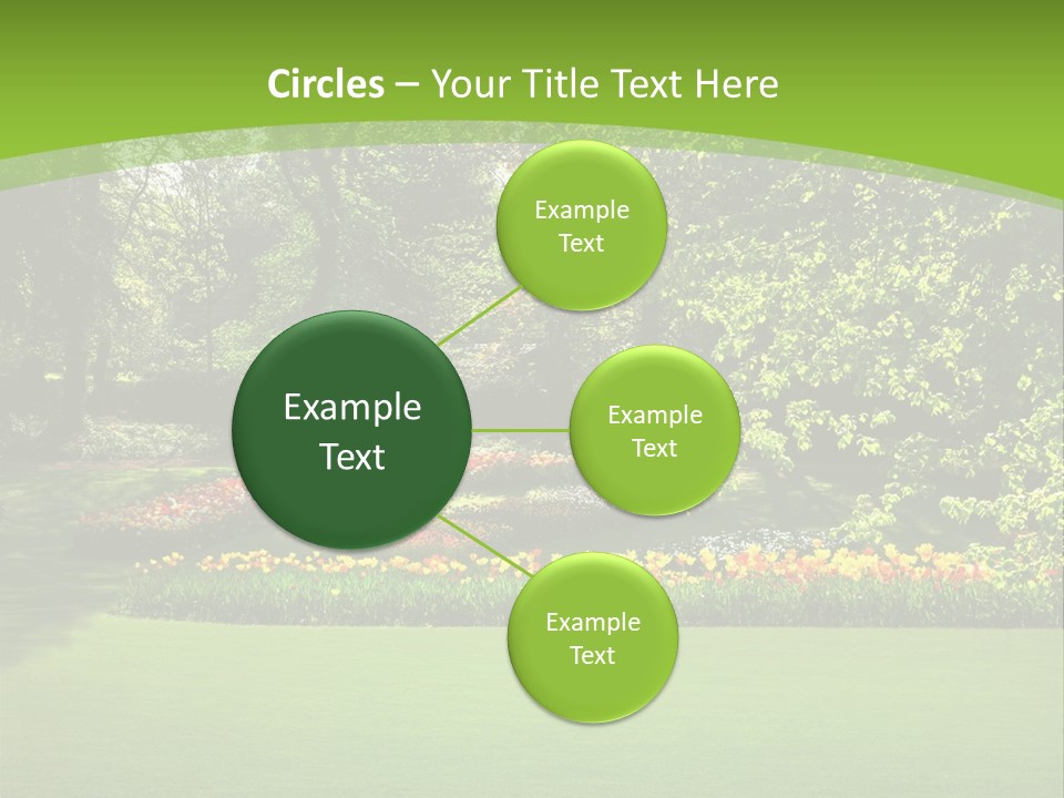 Woman Model Young PowerPoint Template