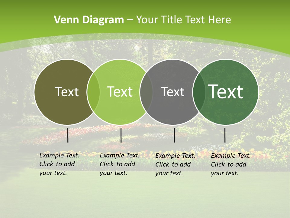 Woman Model Young PowerPoint Template