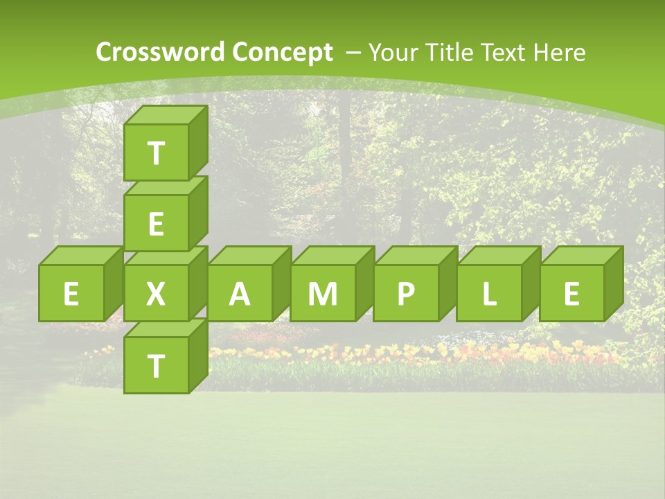 Woman Model Young PowerPoint Template