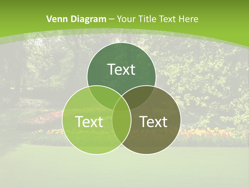 Woman Model Young PowerPoint Template