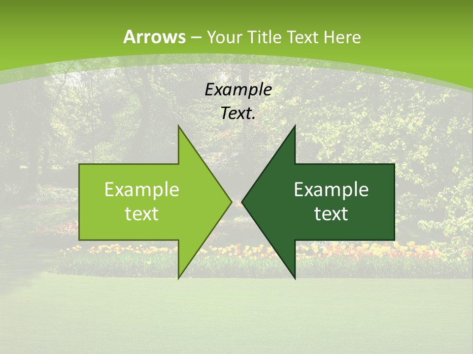 Woman Model Young PowerPoint Template