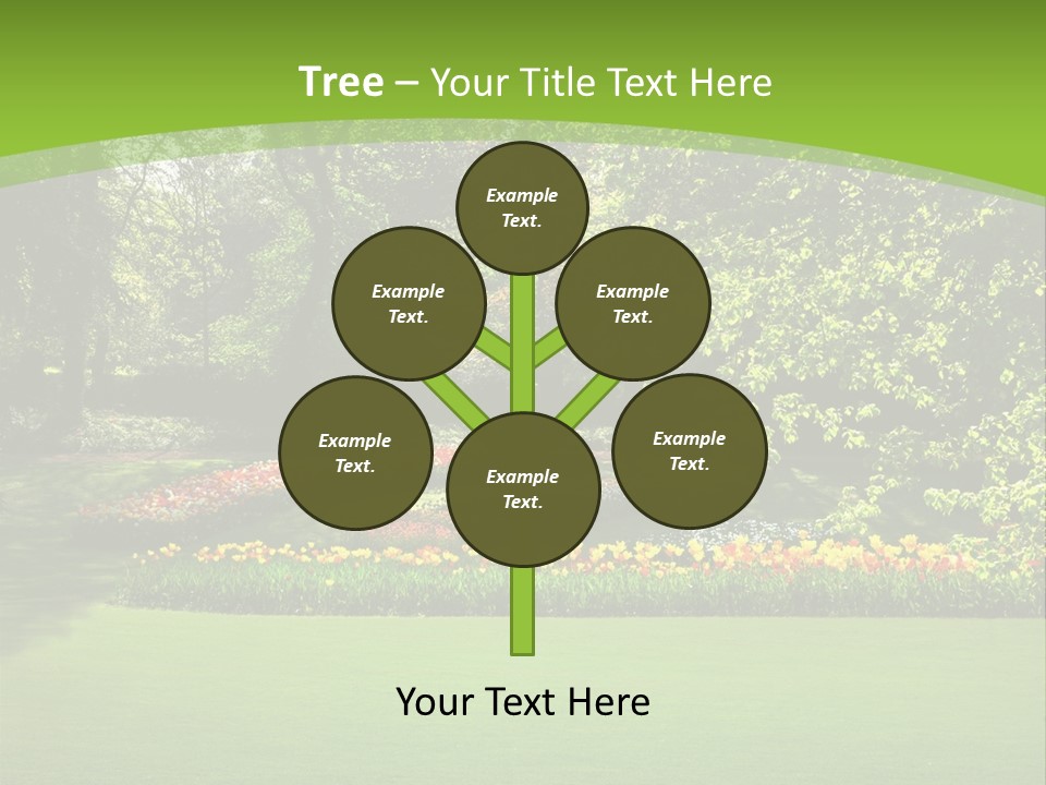 Woman Model Young PowerPoint Template