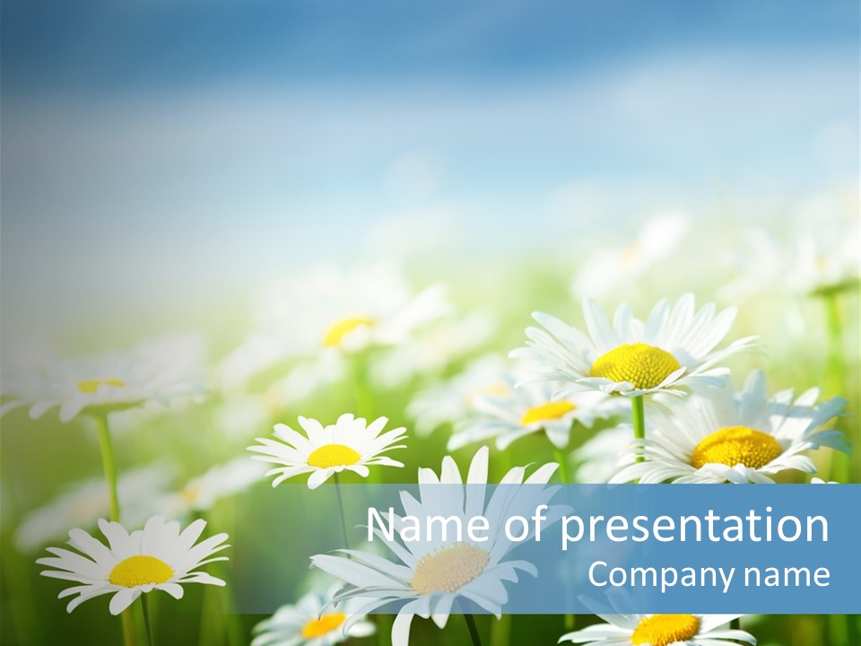 Country Rural Blossom PowerPoint Template