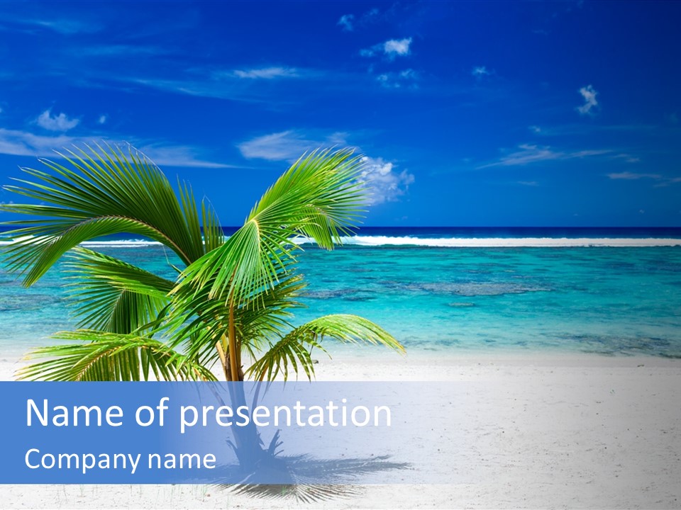 Clouds Palm Paradise PowerPoint Template