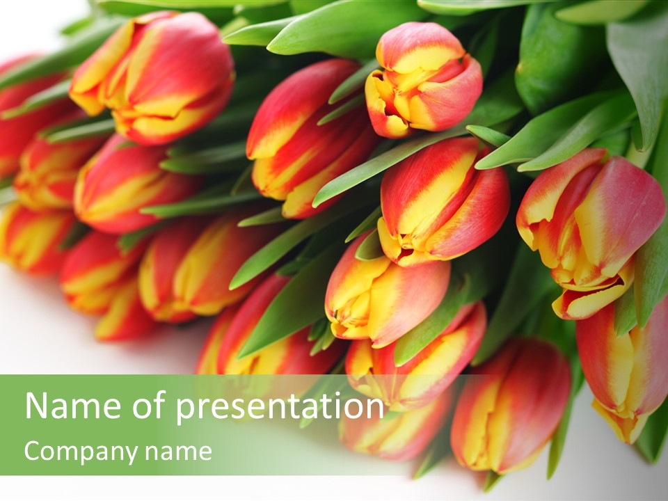 Decoration Arrangement Bloom PowerPoint Template