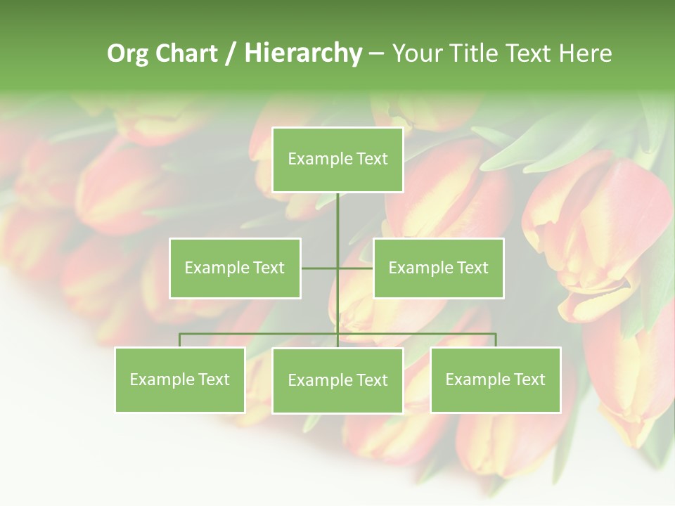 Decoration Arrangement Bloom PowerPoint Template
