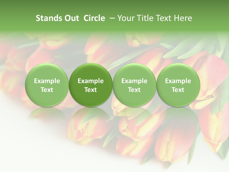 Decoration Arrangement Bloom PowerPoint Template