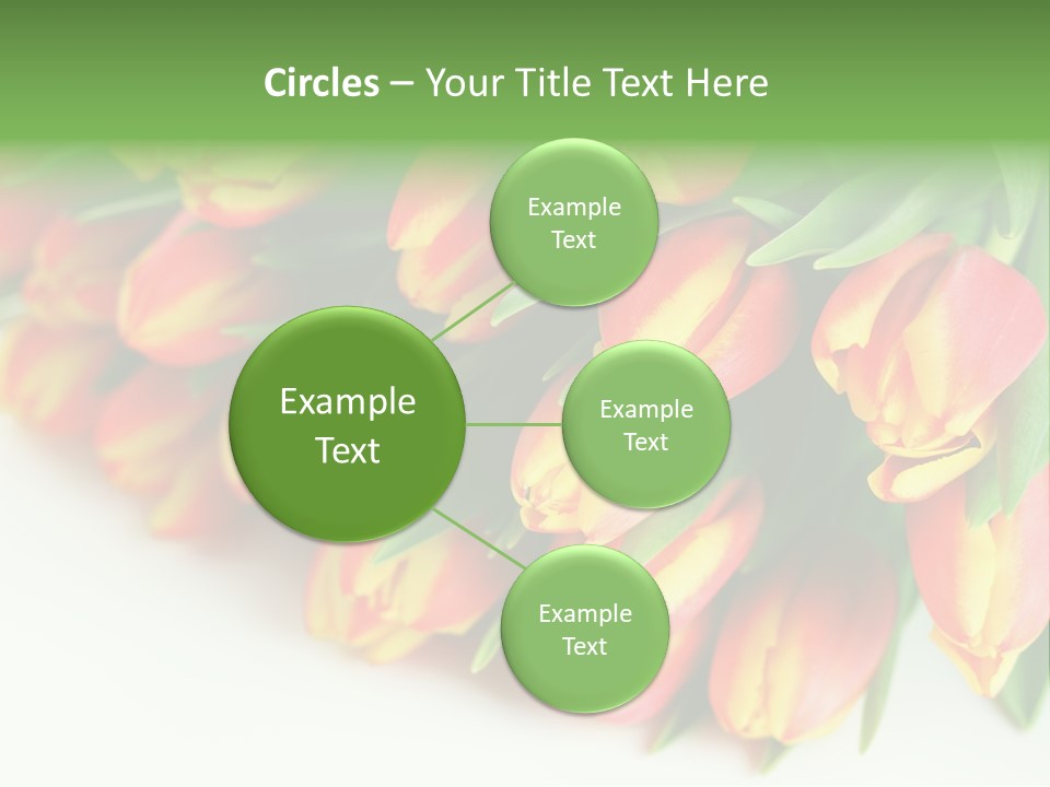 Decoration Arrangement Bloom PowerPoint Template