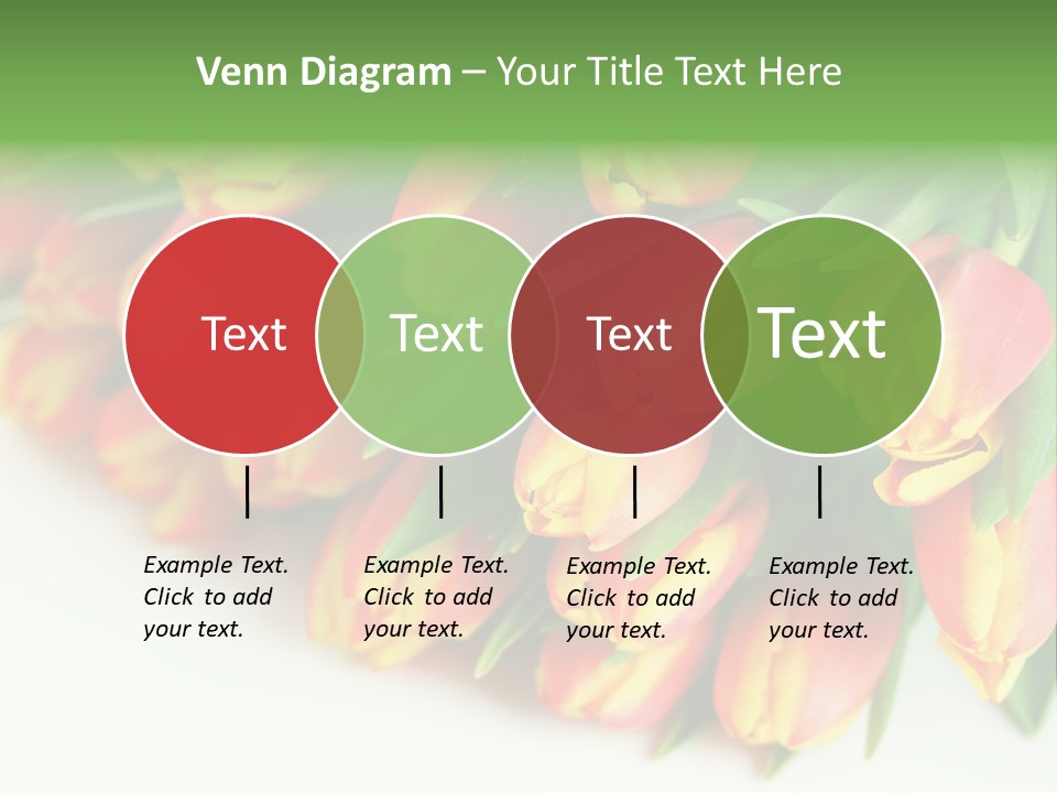 Decoration Arrangement Bloom PowerPoint Template