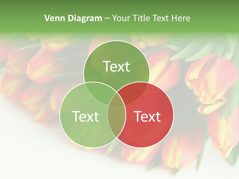 Decoration Arrangement Bloom PowerPoint Template