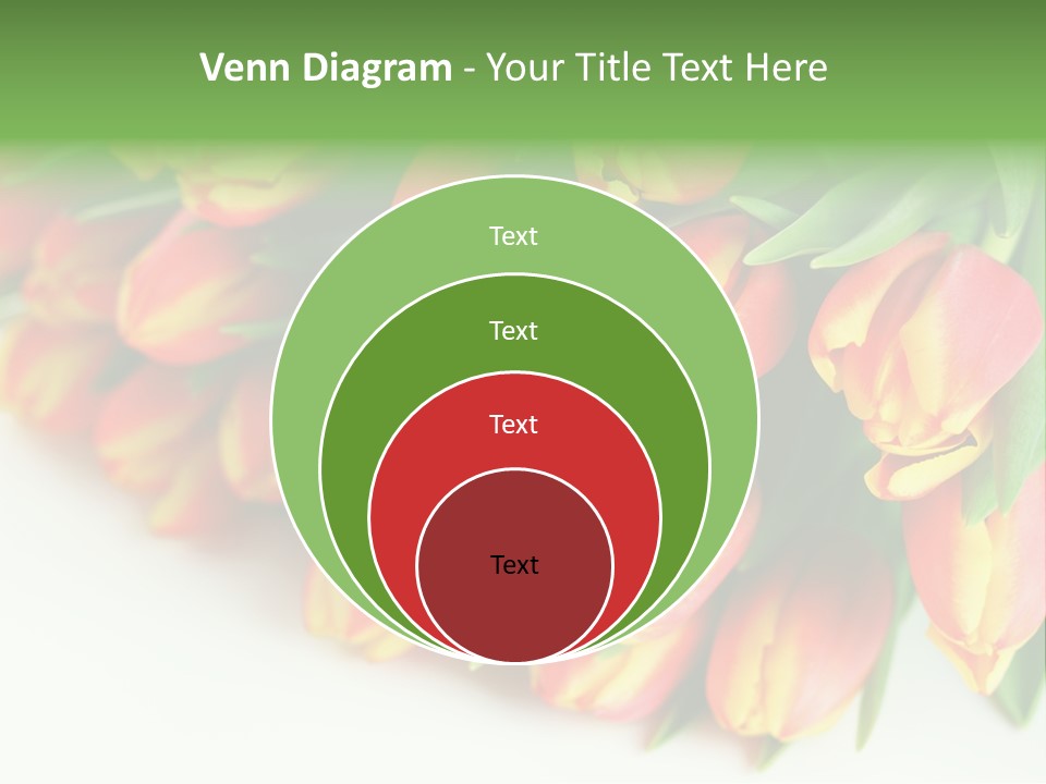 Decoration Arrangement Bloom PowerPoint Template