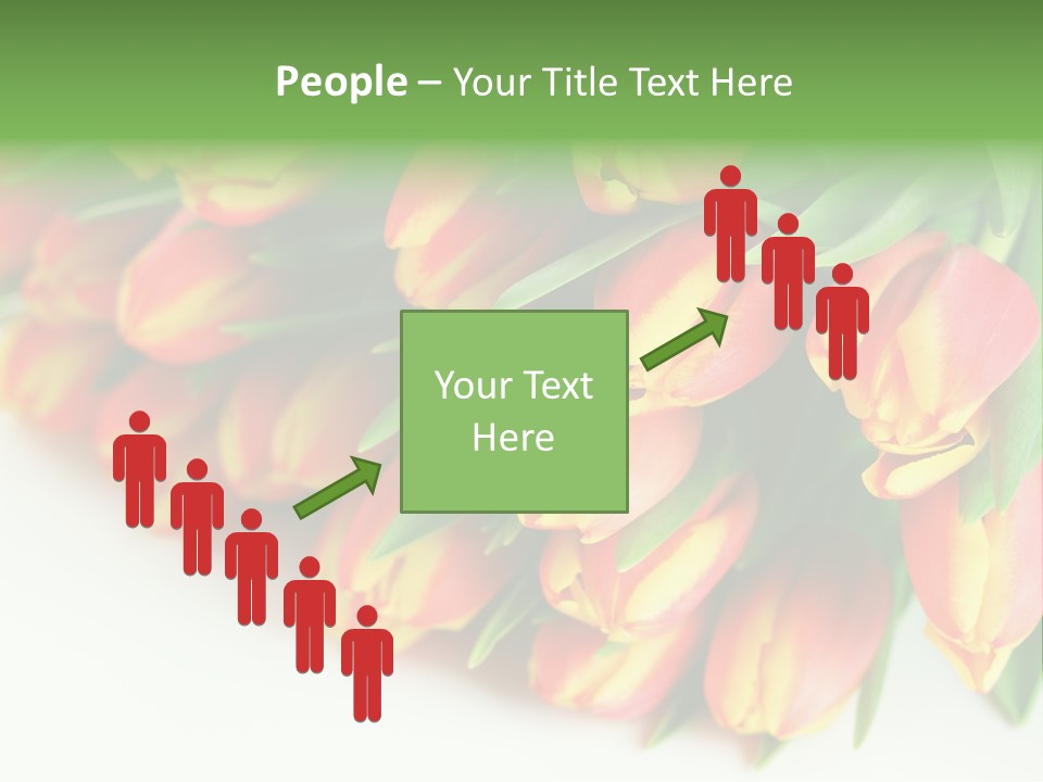 Decoration Arrangement Bloom PowerPoint Template