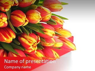 Romance Floral Sample PowerPoint Template