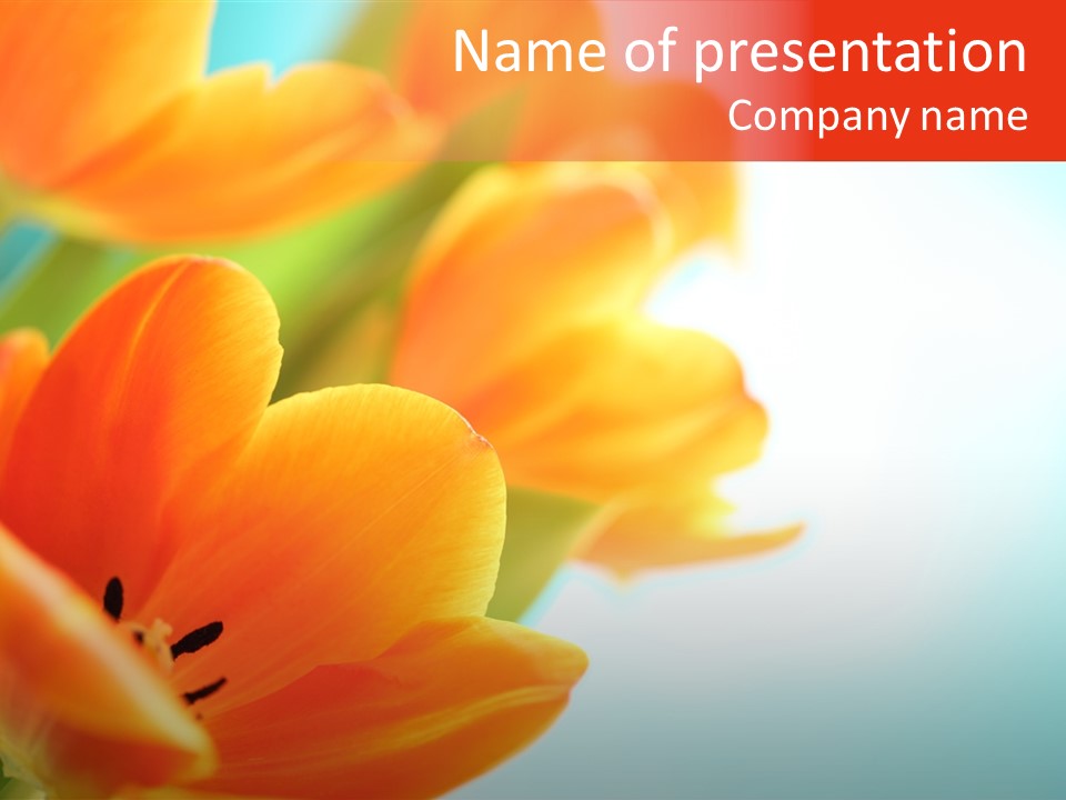 Spring Plant Space PowerPoint Template