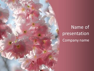 Fre Hne Pring Nature PowerPoint Template