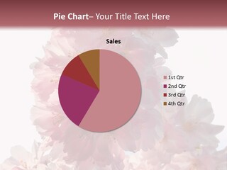 Spring Petal New Life PowerPoint Template