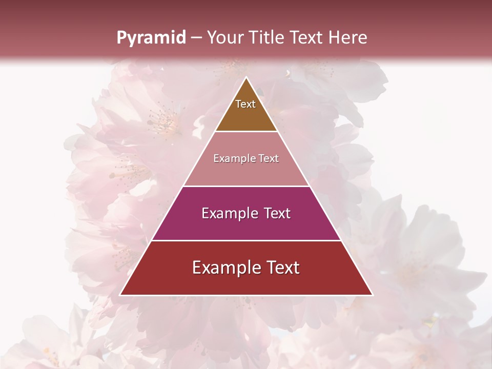 Spring Petal New Life PowerPoint Template