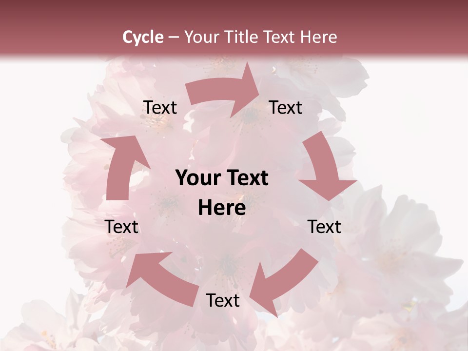 Spring Petal New Life PowerPoint Template
