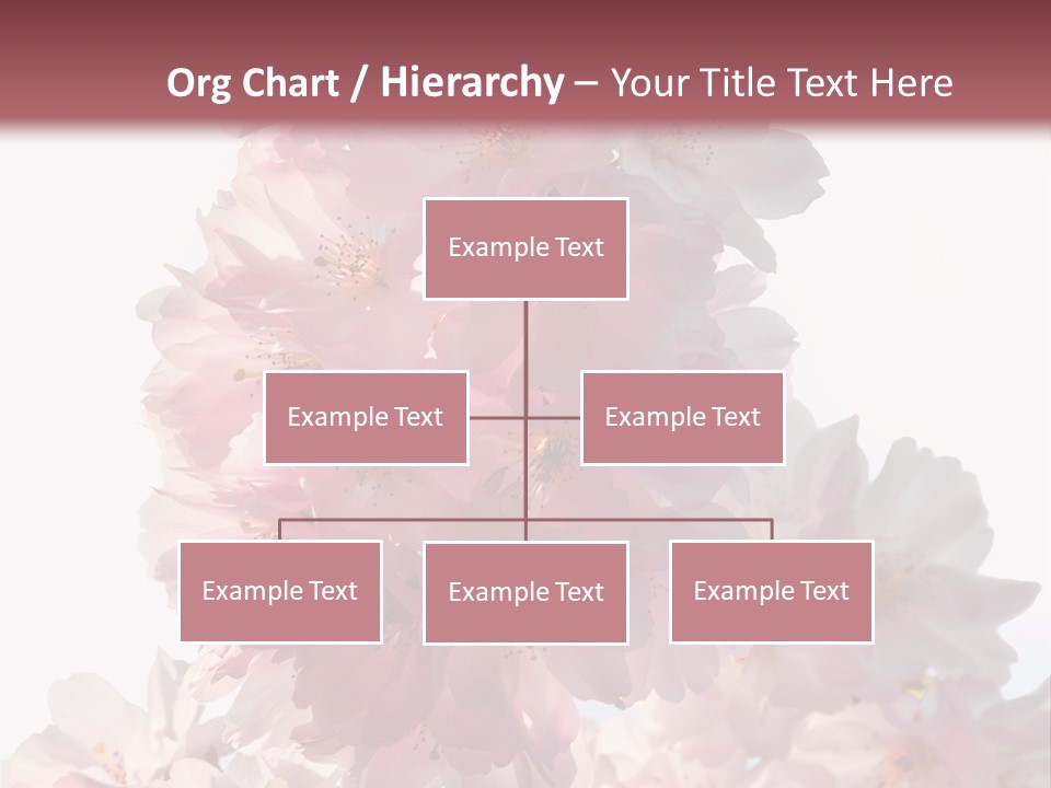 Spring Petal New Life PowerPoint Template