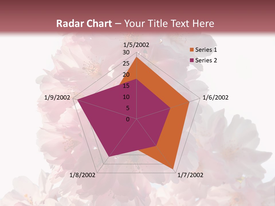 Spring Petal New Life PowerPoint Template
