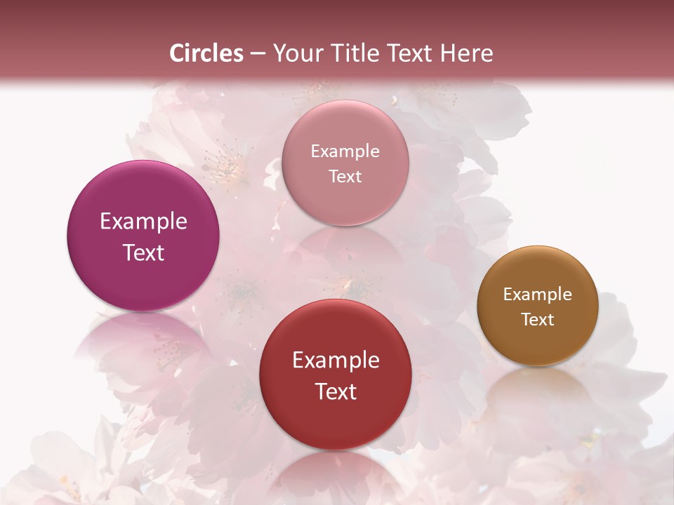 Spring Petal New Life PowerPoint Template