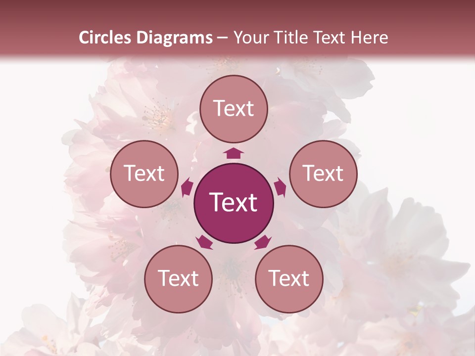 Spring Petal New Life PowerPoint Template