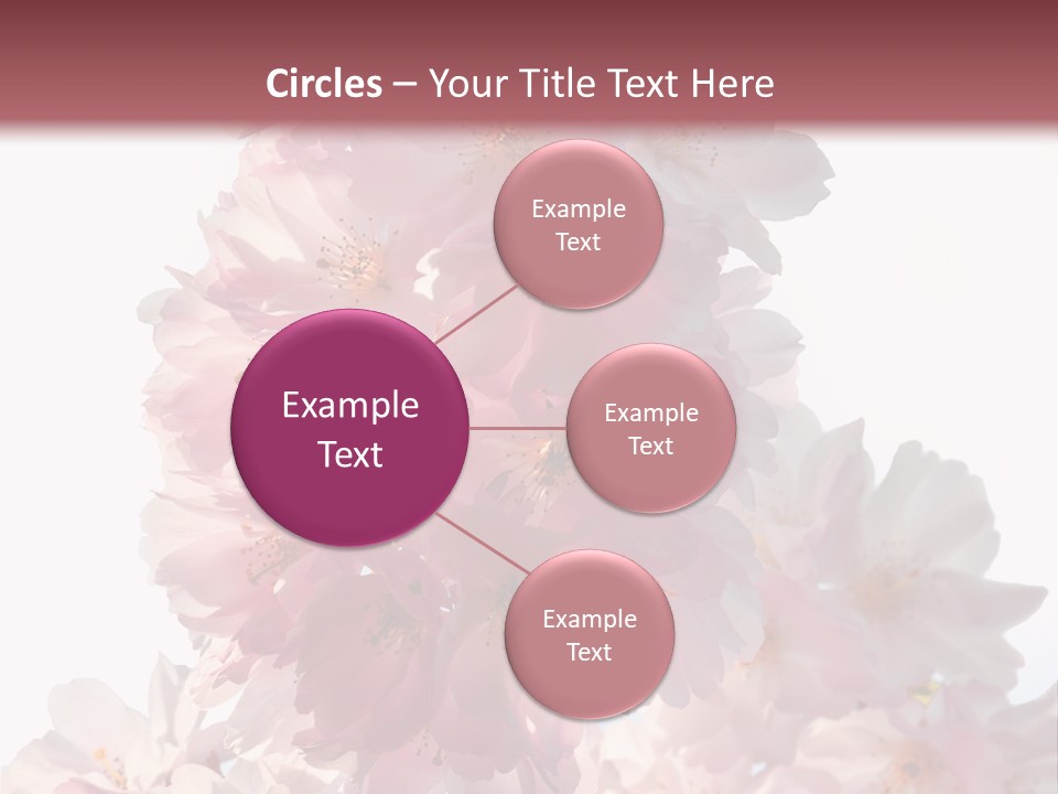 Spring Petal New Life PowerPoint Template
