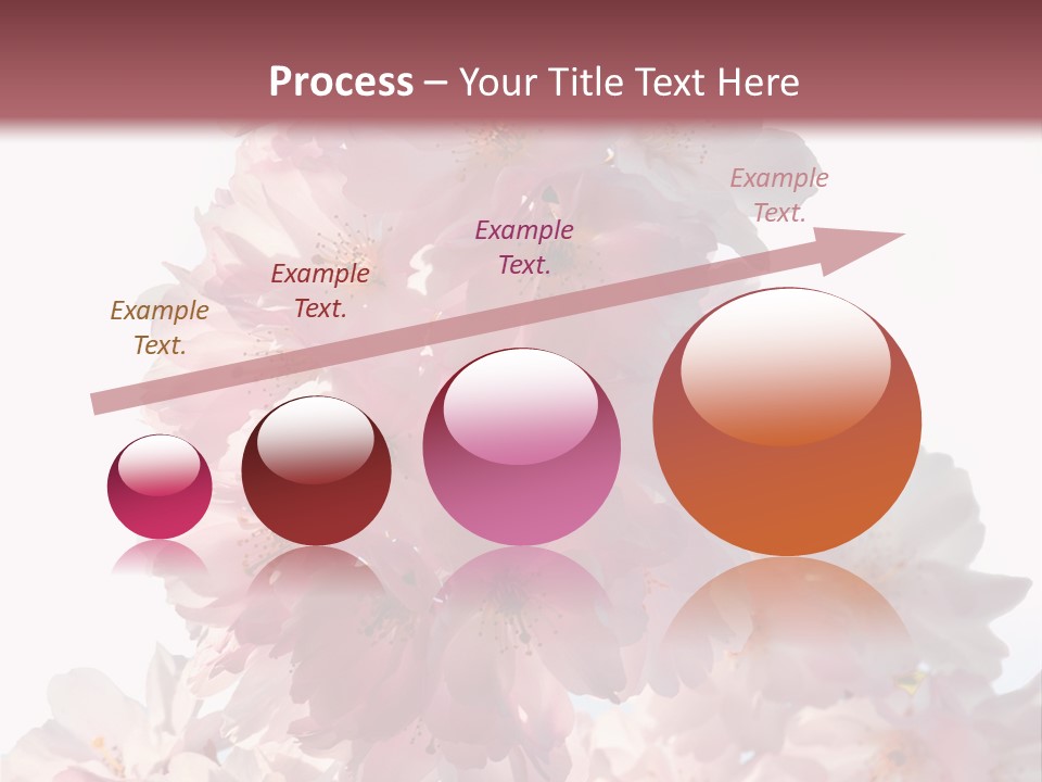 Spring Petal New Life PowerPoint Template