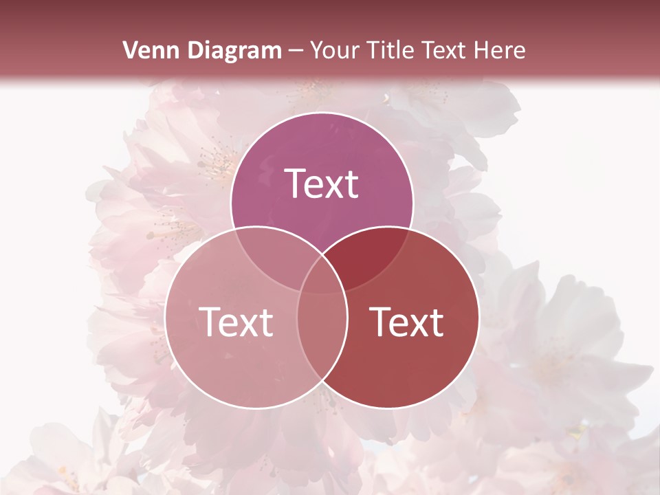 Spring Petal New Life PowerPoint Template