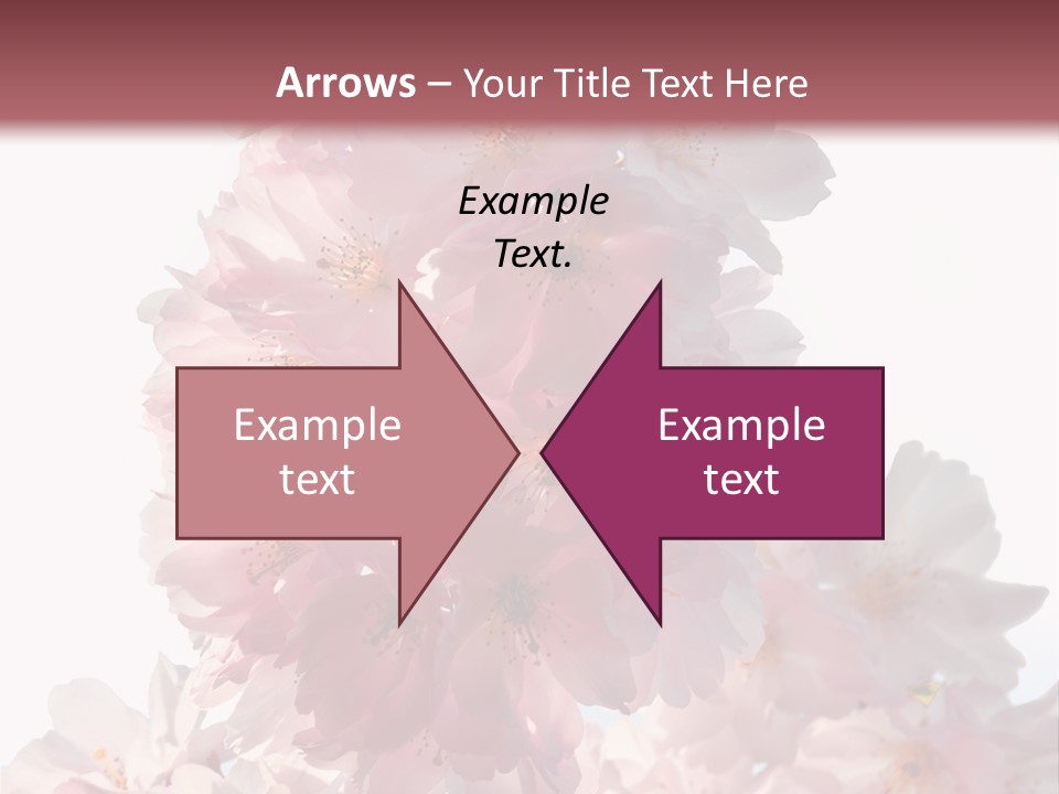 Spring Petal New Life PowerPoint Template