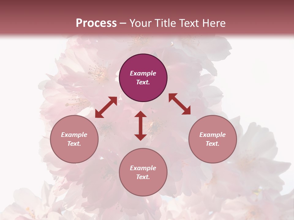 Spring Petal New Life PowerPoint Template