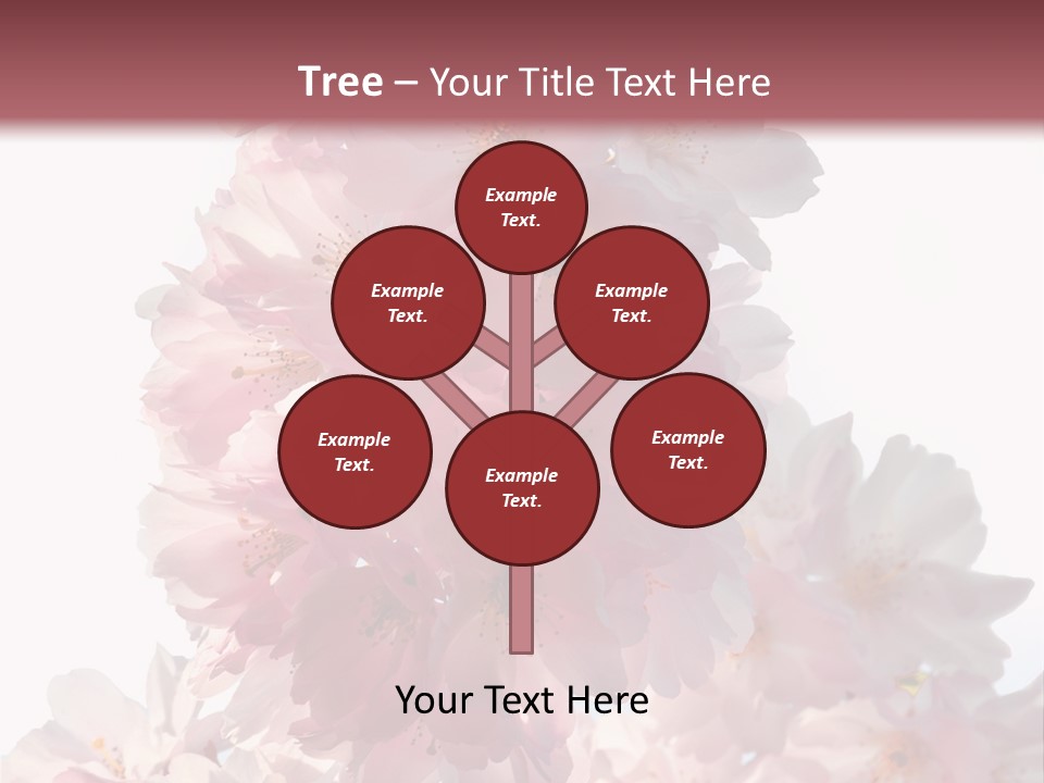 Spring Petal New Life PowerPoint Template