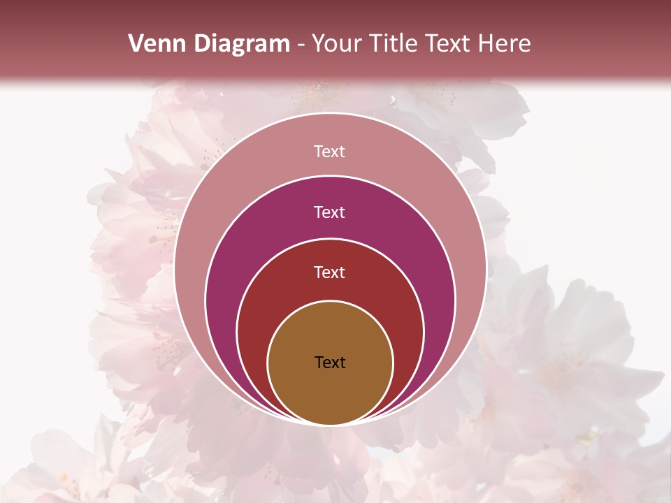 Spring Petal New Life PowerPoint Template