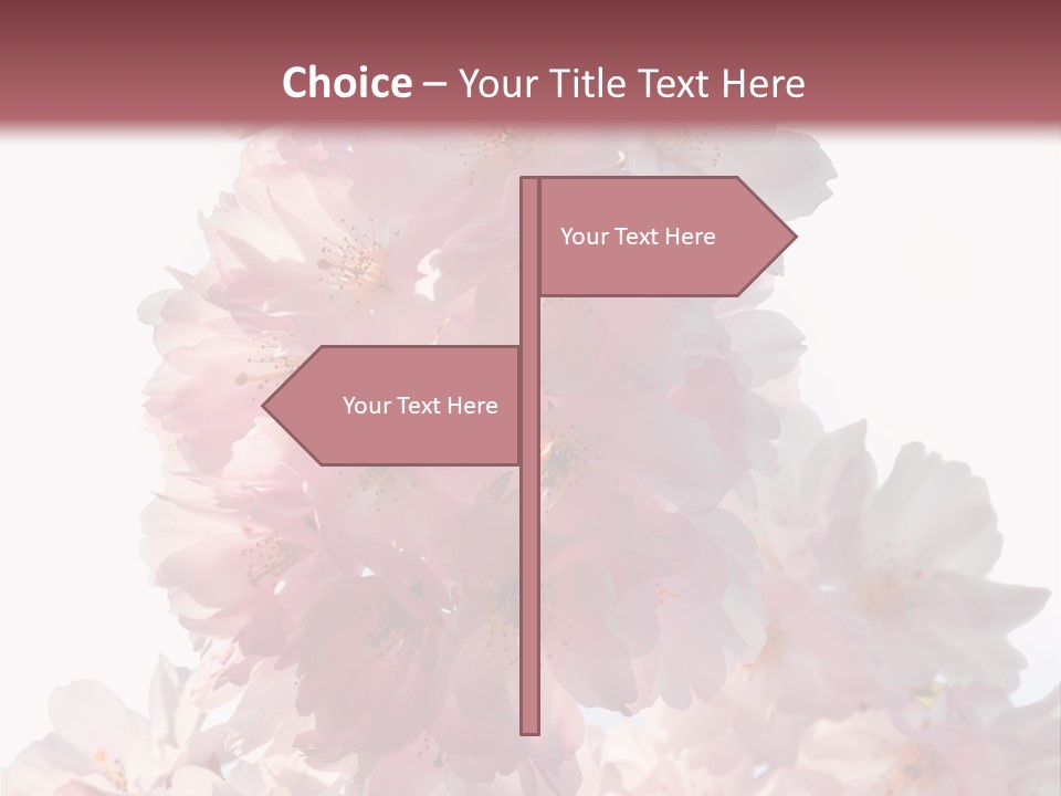 Spring Petal New Life PowerPoint Template