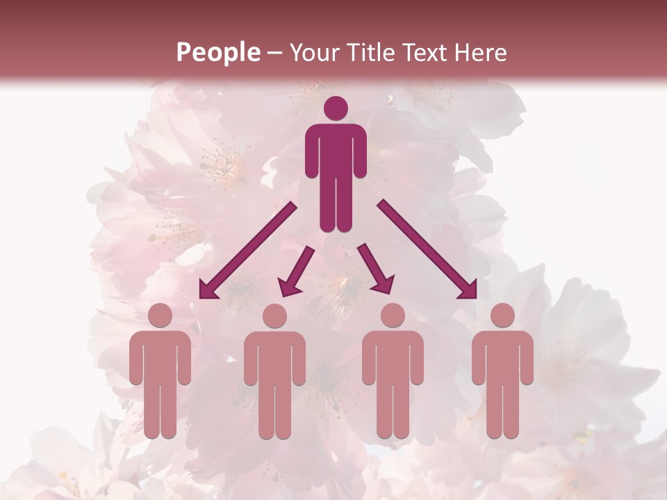 Spring Petal New Life PowerPoint Template