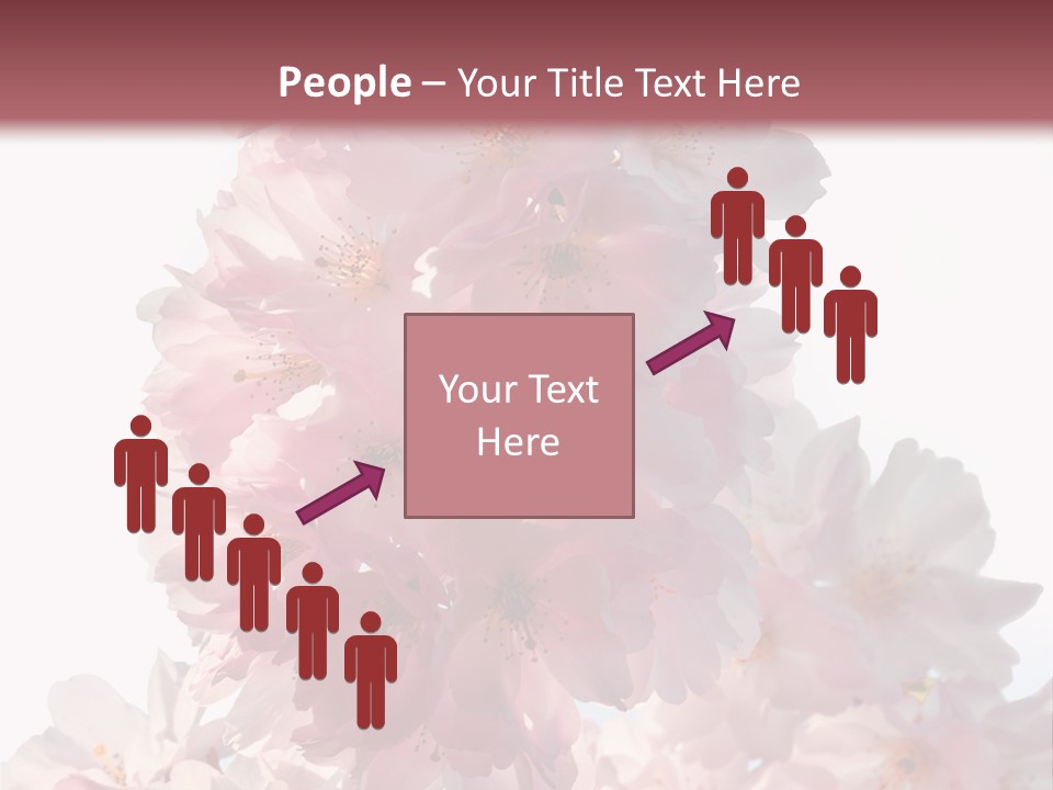 Spring Petal New Life PowerPoint Template