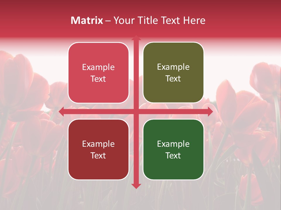 Bright Orange Background PowerPoint Template