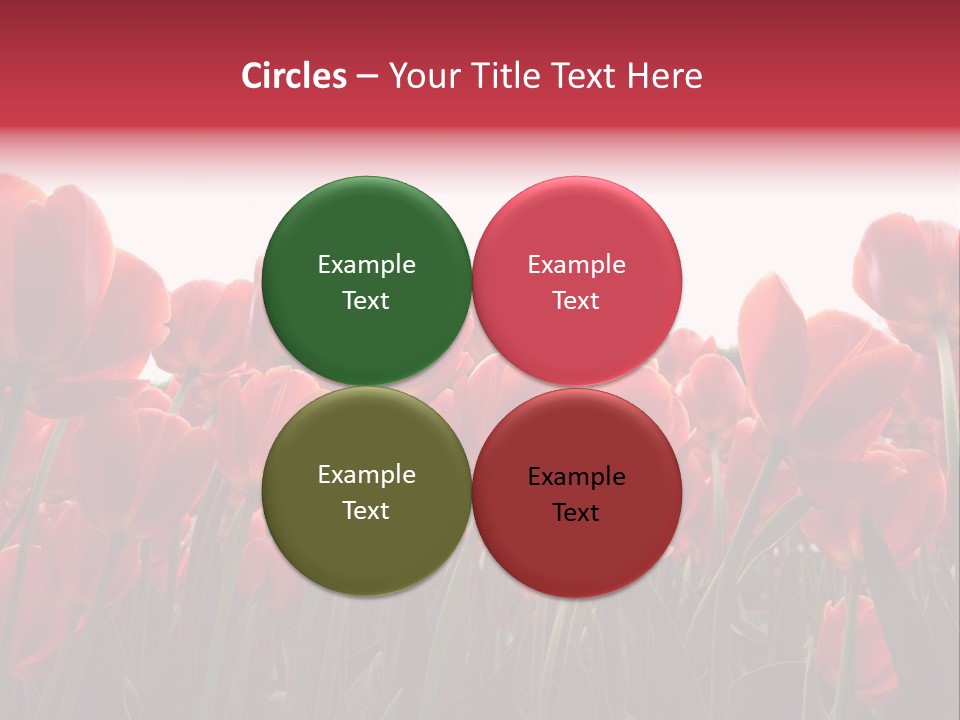 Bright Orange Background PowerPoint Template