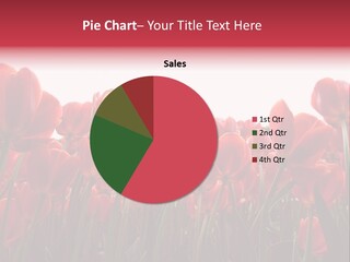 Bright Orange Background PowerPoint Template