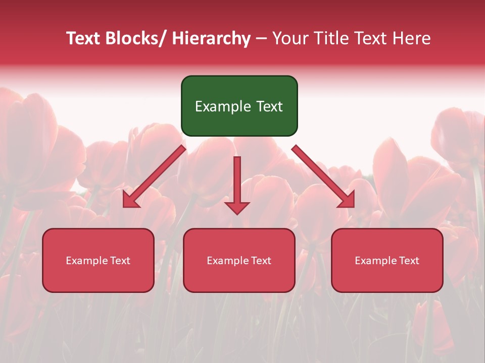 Bright Orange Background PowerPoint Template