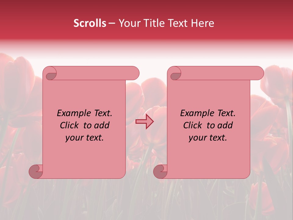 Bright Orange Background PowerPoint Template