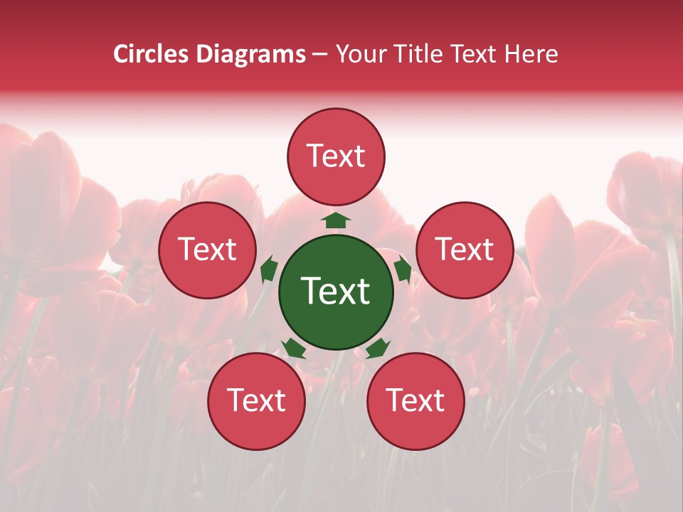 Bright Orange Background PowerPoint Template