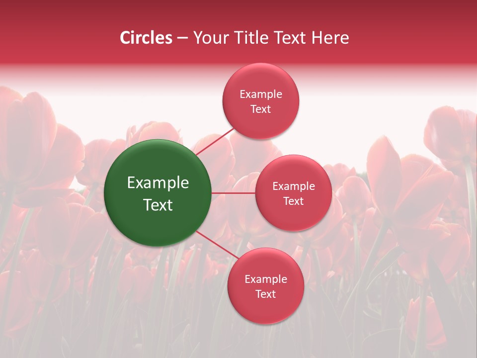 Bright Orange Background PowerPoint Template